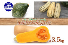 北海道産 旬の有機栽培野菜 かぼちゃ 3.5kg ミニバターナッツ デリカタ ロロン 有機栽培 オーガニック 有機野菜 有機jas認証 西洋野菜 新鮮 お取り寄せ 送料無料 ニセコグリーンファーム 北海道 倶知安町