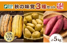 北海道 オーガニック 秋の味覚 かぼちゃじゃがいも さつまいも 約5kg デリカタ カボチャ キタアカリ 馬鈴薯 ポテト 有機野菜 JAS 産直 産地直送
