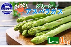 アスパラガス 北海道 グリーン 1kg セット Lサイズ 春 限定 旬 朝採り 新鮮 野菜 アスパラ ギフト gift 産地直送 産直 お取り寄せ 詰め合わせ 送料無料
