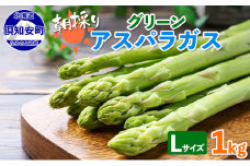 アスパラガス 北海道 グリーン 1kg セット Lサイズ 春 限定 旬 朝採り 新鮮 野菜 アスパラ ギフト gift 産地直送 産直 お取り寄せ 詰め合わせ 送料無料