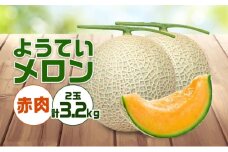 【 2025年発送 】先行予約 北海道 赤肉メロン 約1.6kg 2玉 メロン 赤肉 果物 フルーツ 甘い 完熟 スイーツ デザート 産直 国産 贈答品 お祝い ギフト羊蹄山 JAようてい