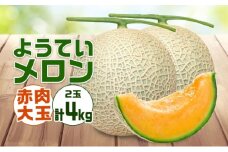 【 2025年発送 】先行予約 北海道 赤肉メロン 大玉 約2kg 2玉 メロン 赤肉 果物 フルーツ 甘い 完熟 スイーツ デザート 産直 国産 贈答品 お祝いギフト羊蹄山 JAようてい