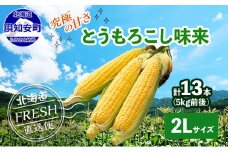 北海道 倶知安町 とうもろこし 味来 みらい 北海道 5kg 2Lサイズ 大きめ 夏野菜 とうきび 旬 新鮮 野菜 トウモロコシ ギフト 産地直送 産直 お取り寄せ 詰め合わせ 送料無料