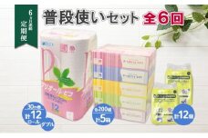 6ヶ月連続6回 定期便 トイレットペーパー ダブル 30m 12ロール ティッシュペーパー 200組 5箱 ポケットティッシュ 12個 セット 日本製 消耗品 備蓄 香りなし リサイクル 送料無料 雑貨 日用品 北海道 倶知安町