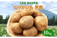 北海道産 じゃがいも 男爵 約10kg じゃが芋 ジャガイモ 芋 いも 男爵いも だんしゃく ポテト 新鮮 野菜 直送 常温 農作物 お取り寄せ 送料無料 縁樹 北海道 倶知安町