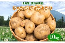 北海道産 じゃがいも きたあかり 約10kg 芋 ジャガイモ いも 自然 旬 新鮮 野菜 直送 常温 農作物 お取り寄せ 野菜 ポテト 農作物 お取り寄せ 送料無料 縁樹 北海道 倶知安町
