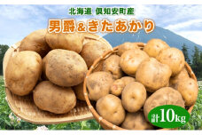 北海道産 じゃがいも 2種セット 男爵 きたあかり 約10kg じゃが芋 ジャガイモ 芋 いも ポテト 食べ比べ 新鮮 野菜 直送 農作物 お取り寄せ 送料無料 縁樹 北海道 倶知安町