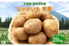 北海道産 じゃがいも 男爵 約20kg じゃが芋 ジャガイモ 芋 いも 男爵いも だんしゃく ポテト 新鮮 野菜 直送 常温 農作物 お取り寄せ 送料無料 縁樹 北海道 倶知安町