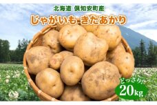 北海道産 じゃがいも きたあかり 約20kg 芋 ジャガイモ いも 自然 旬 新鮮 野菜 直送 常温 農作物 お取り寄せ 野菜 ポテト 農作物 お取り寄せ 送料無料 縁樹 北海道 倶知安町