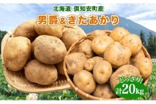 北海道産 じゃがいも 2種セット 男爵 きたあかり 約20kg じゃが芋 ジャガイモ 芋 いも ポテト 食べ比べ 新鮮 野菜 直送 農作物 お取り寄せ 送料無料 縁樹 北海道 倶知安町