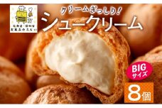 北海道 シュークリーム 2個入り×4袋 計8個 個包装 カスタード クリーム 洋菓子 生菓子 スイーツ デザート おやつ 冷凍 ふじいのシュー お菓子のふじい ニセコ 送料無料 北海道 倶知安町