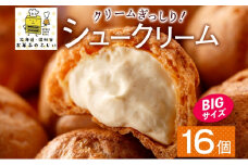 北海道 シュークリーム 4個入り×4袋 計16個 個包装 カスタード クリーム 洋菓子 生菓子 スイーツ デザート おやつ 冷凍 ふじいのシュー お菓子のふじい ニセコ 送料無料 北海道 倶知安町