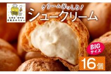 北海道 シュークリーム 4個入り×4袋 計16個 個包装 カスタード クリーム 洋菓子 生菓子 スイーツ デザート おやつ 冷凍 ふじいのシュー お菓子のふじい ニセコ 送料無料 北海道 倶知安町