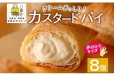 北海道 カスタードパイ 4個入り×2袋 計8個 カスタードクリーム カスタード パイ 洋菓子 お菓子 デザート おやつ 甘さ控えめ 冷凍 お菓子のふじい ニセコ 送料無料 北海道 倶知安町