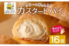 北海道 カスタードパイ 4個入り×4袋 計16個 カスタードクリーム カスタード パイ 洋菓子 お菓子 デザート おやつ 甘さ控えめ 冷凍 お菓子のふじい ニセコ 送料無料 北海道 倶知安町
