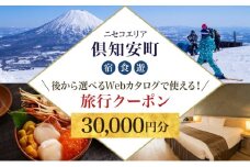 【北海道ツアー】ニセコ 倶知安町 後から選べる旅行Webカタログで使える！ 旅行クーポン（30,000円分） 旅行券 宿泊券 飲食券 体験サービス券 温泉 お食事券 チケット スキーチケット 