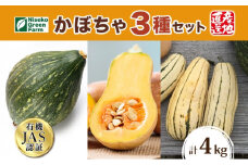 北海道 オーガニック かぼちゃ3種 計約4kg カボチャ デリカタ ミニバターナッツ ロロン 南瓜 有機野菜 野菜 有機栽培 JAS 産直 産地直送 国産 ニセコグリーンファーム 送料無料