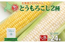 【 2025年 先行予約 】 北海道産 とうもろこし 2種 計24本 L-2L サイズ混合  味来 ロイシーコーン 食べ比べ セット 旬 朝採り 新鮮 トウモロコシ とうきび お取り寄せ 産地直送 野菜 しりべしや 送料無料