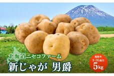 北海道産 じゃがいも 男爵 5kg 規格外 訳あり S-3L サイズ混合 新じゃが 芋 ジャガイモ いも 新鮮 野菜 農作物 お取り寄せ 男しゃく 馬鈴薯 ニセコファーム 送料無料 北海道 倶知安町