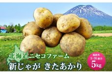 北海道産 じゃがいも きたあかり 5kg 規格外 訳あり S-3L サイズ混合 新じゃが 芋 ジャガイモ いも 野菜 農作物 お取り寄せ キタアカリ馬鈴薯 ニセコファーム 送料無料 北海道 倶知安町