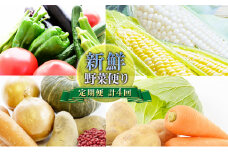 【ニセコファーム】定期便 新鮮 野菜便り 北海道 倶知安町 新鮮 採れたて とうもろこし 夏野菜 じゃがいも 玉ねぎ
