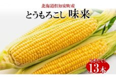 北海道産 朝もぎ イエロー とうもろこし 味来 みらい 2Lサイズ 13本 約5kg 大きめ 夏野菜 とうきび 新鮮 野菜 トウモロコシ ギフト 産地直送 コーン 産直 グリーンアースファーム