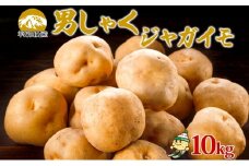 北海道産 じゃがいも 男爵 約10kg  Lサイズ ジャガイモ 男爵いも 男爵イモ 馬鈴薯 ポテト 常備野菜 根菜 農作物 産直 国産 JAようてい 送料無料 北海道 倶知安町