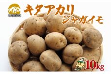 北海道産 じゃがいも キタアカリ 約10kg Lサイズ ジャガイモ 北あかり 馬鈴薯 ポテト クリじゃがいも 常備野菜 根菜 産直 国産 JAようてい 送料無料 北海道北海道のジャガイモ 食品 
