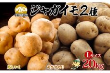 北海道産じゃがいも 男爵 キタアカリ各約10kg Lサイズ ジャガイモ 男爵いも 北あかり 馬鈴薯 ポテト 根菜 常備野菜 産直 国産 JAようてい 送料無料 北海道北海道のジャガイモ 食品 