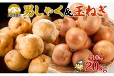 北海道産じゃがいも 男爵 玉ねぎ Lサイズ 各約10kg ジャガイモ 男爵いも 馬鈴薯 ポテトタマネギ 玉葱 常備野菜 根菜 産直 国産 JAようてい 送料無料 北海道北海道のジャガイモ 食品 