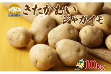 北海道産 じゃがいも きたかむい 約10kg Lサイズ ジャガイモ キタカムイ 馬鈴薯 いも ポテト 常備野菜 根菜 産直 国産 日本産 JAようてい 送料無料 北海道 倶知安町