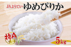 北海道産 ゆめぴりか 精米 5kg お米 米 特A 白米 ブランド米 ご飯 ごはん おにぎり 主食 産直 贈り物 ギフト備蓄 JAようてい 送料無料 北海道 倶知安町