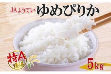 北海道産 ゆめぴりか 精米 5kg お米 米 特A 白米 ブランド米 ご飯 ごはん おにぎり 主食 産直 贈り物 ギフト備蓄 JAようてい 送料無料 北海道 倶知安町