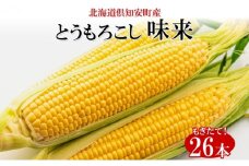 北海道産 朝もぎ イエロー とうもろこし 味来 みらい 2Lサイズ 26本 約10kg 夏野菜 とうきび 新鮮 野菜 トウモロコシ 甘い ギフト 産地直送 コーン 産直 グリーンアースファーム