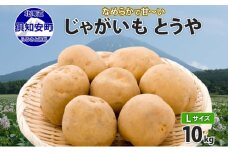 北海道産 じゃがいも とうや Lサイズ 10kg 馬鈴薯 黄爵 ジャガイモ ポテト 芋 いも 旬 イモ 野菜 農作物 産地直送 産直 常温 北海道 お取り寄せ 送料無料 倶知安町
