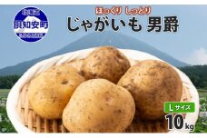 北海道産 じゃがいも 男爵 Lサイズ 10kg 馬鈴薯 男爵いも 男爵イモ だんしゃく ジャガイモ ポテト 芋 いも 旬 イモ 野菜 農作物 産地直送 産直 常温 北海道 お取り寄せ 送料無料 倶知安町