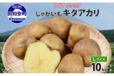 北海道産 じゃがいも キタアカリ Lサイズ 10kg 馬鈴薯 きたあかり 北あかり 黄金男爵 クリじゃがいも ジャガイモ ポテト 芋 いも 旬 イモ 野菜 農作物 産地直送 産直 常温 北海道 お取り寄せ 送料無料 倶知安町