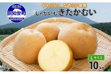 北海道産 じゃがいも きたかむい Lサイズ 10kg 馬鈴薯 キタカムイ ジャガイモ ポテト 芋 いも 旬 イモ 野菜 農作物 産地直送 産直 常温 北海道 お取り寄せ 送料無料 倶知安町
