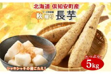 北海道 倶知安町産 長芋 2L×約6本 計5kg 秋堀り 芋 ながいも とろろ 新鮮 フレッシュ 野菜 農作物 産直 山芋 麦とろ 山かけ おつまみ グリーンアースファーム 送料無料 北海道 倶知安町