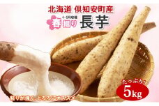 北海道 倶知安町産 長芋 2L×約6本 計5kg 春堀り 芋 ながいも とろろ 新鮮 フレッシュ 野菜 農作物 産直 山芋 麦とろ 山かけ おつまみ グリーンアースファーム 送料無料 北海道 倶知安町