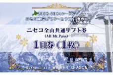ニセコ 全山共通 リフト券 All Mt.Pass 1日券 【1枚】 2024-2025シーズン スキー リフト券 スポーツ 羊蹄山 雪 パウダースノー ニセコ 倶知安町