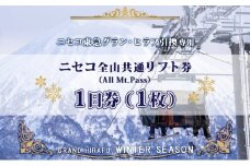 ニセコ 全山共通 リフト券 All Mt.Pass 1日券 【1枚】 2025-2026シーズン スキー リフト券 スポーツ 羊蹄山 雪 パウダースノー ニセコ 倶知安町 スキー場 冬山 雪山 ウインタースポーツ スノボ 