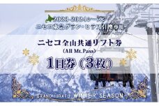 ニセコ 全山共通 リフト券 All Mt.Pass 1日券 【3枚】 2024-2025シーズン スキー リフト券 スポーツ 羊蹄山 雪 パウダースノー ニセコ 倶知安町