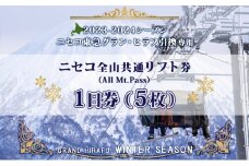 ニセコ 全山共通 リフト券 All Mt.Pass 1日券 【5枚】 2024-2025シーズン スキー リフト券 スポーツ 羊蹄山 雪 パウダースノー ニセコ 倶知安町