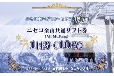 ニセコ 全山共通 リフト券 All Mt.Pass 1日券 【10枚】 2025-2026シーズン スキー リフト券 スポーツ 羊蹄山 雪 パウダースノー ニセコ 倶知安町 スキー場 冬山 雪山 ウインタースポーツ スノボ 