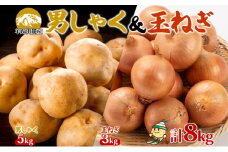 北海道産じゃがいも 男爵 5kg 玉ねぎ 3kg Lサイズ 計約8kg ジャガイモ 男爵いも 馬鈴薯 ポテトタマネギ 玉葱 常備野菜 根菜 産直 国産 JAようてい 送料無料 北海道 倶知安町
