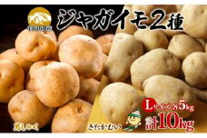 北海道産じゃがいも 男爵 きたかむい各約5kg Lサイズ 計10kg ジャガイモ 男爵いも 馬鈴薯 ポテト 根菜 常備野菜 産直 国産 送料無料 北海道 倶知安町