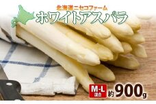 【 2026年 発送 】 北海道産 アスパラガス ホワイト 約 900g L - 2L サイズ 混合 アスパラ 旬 朝採り 新鮮 お取り寄せ 産地直送 産直 野菜 農作物 詰め合わせ 国産 北海道 倶知安町