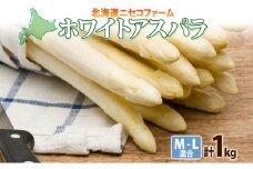 【 2026年 発送 】 北海道産 アスパラガス ホワイト 約 900g M - L サイズ 混合 アスパラ 旬 朝採り 新鮮 お取り寄せ 産地直送 産直 野菜 農作物 詰め合わせ 国産 北海道 倶知安町