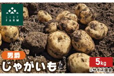 北海道 倶知安 じゃがいも 男爵 5kg リストファーム サイズ 混合 馬鈴薯 芋 ポテト イモ 産地直送 野菜